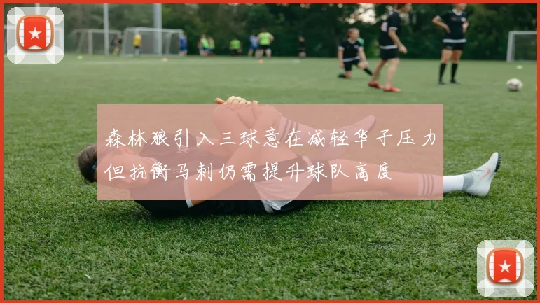 森林狼引入三球意在减轻华子压力但抗衡马刺仍需提升球队高度