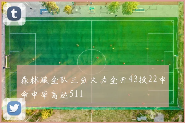森林狼全队三分火力全开43投22中命中率高达511